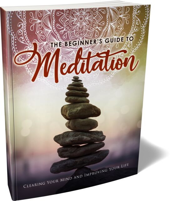 eCover representing The Beginner's Guide To Meditation eBooks & Reports with Master Resell Rights